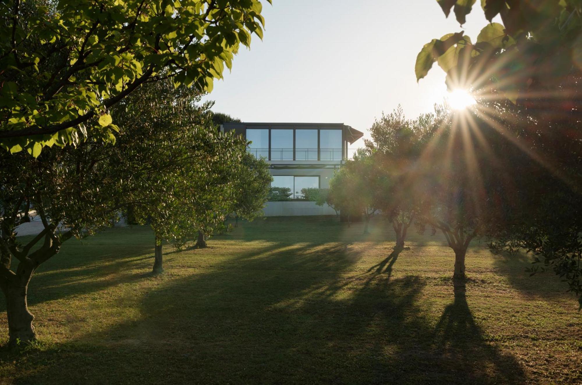 Villa Albina & Domenica Zadar Habitación foto